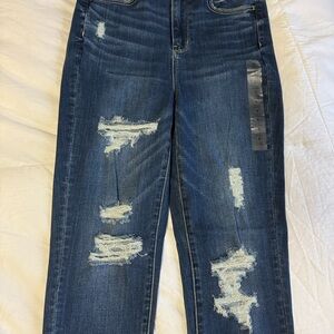 American Eagle Outfitters Dark Blue Distressed Skinny Jeans